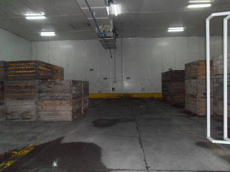Amplia propiedad industrial en Peñaflor, Santiago - Imagen 16