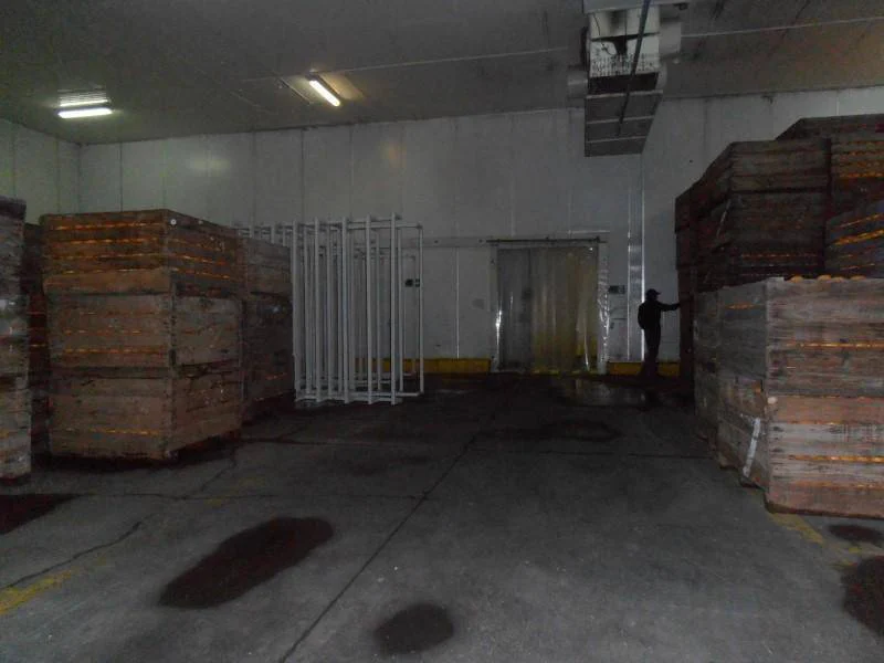 Amplia propiedad industrial en Peñaflor, Santiago - Imagen 17