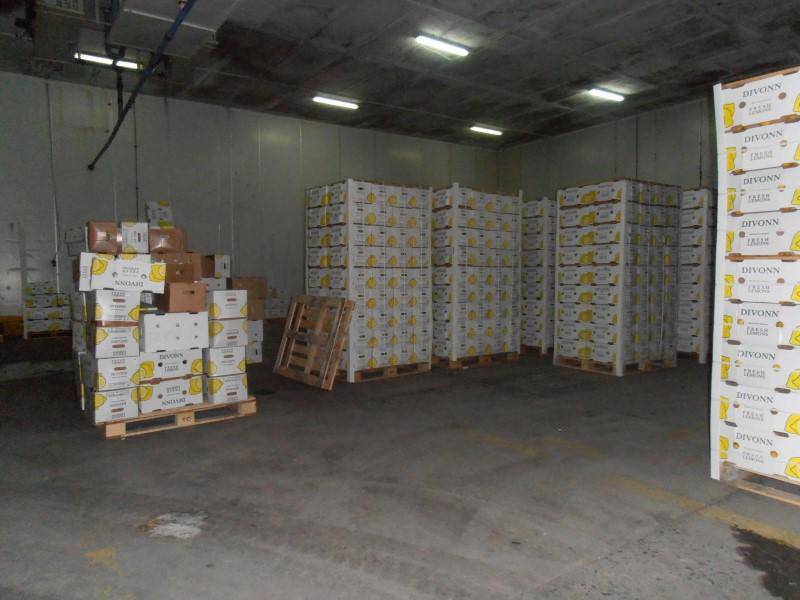 Amplia propiedad industrial en Peñaflor, Santiago - Imagen 18